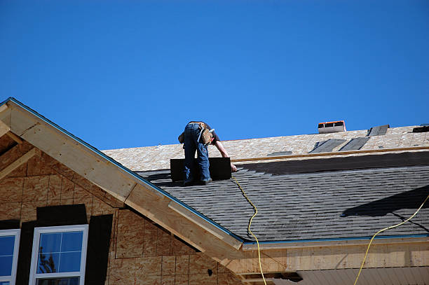 Roof Gutter Cleaning in Fruit Hill, OH